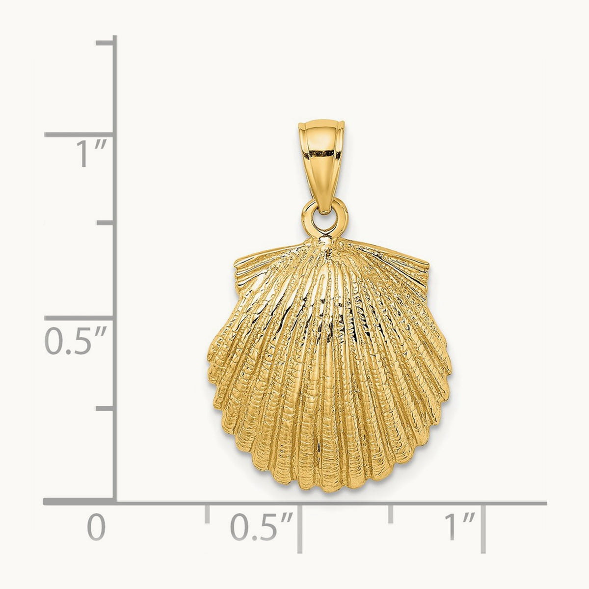 Scallop Shell Charm — 25mm