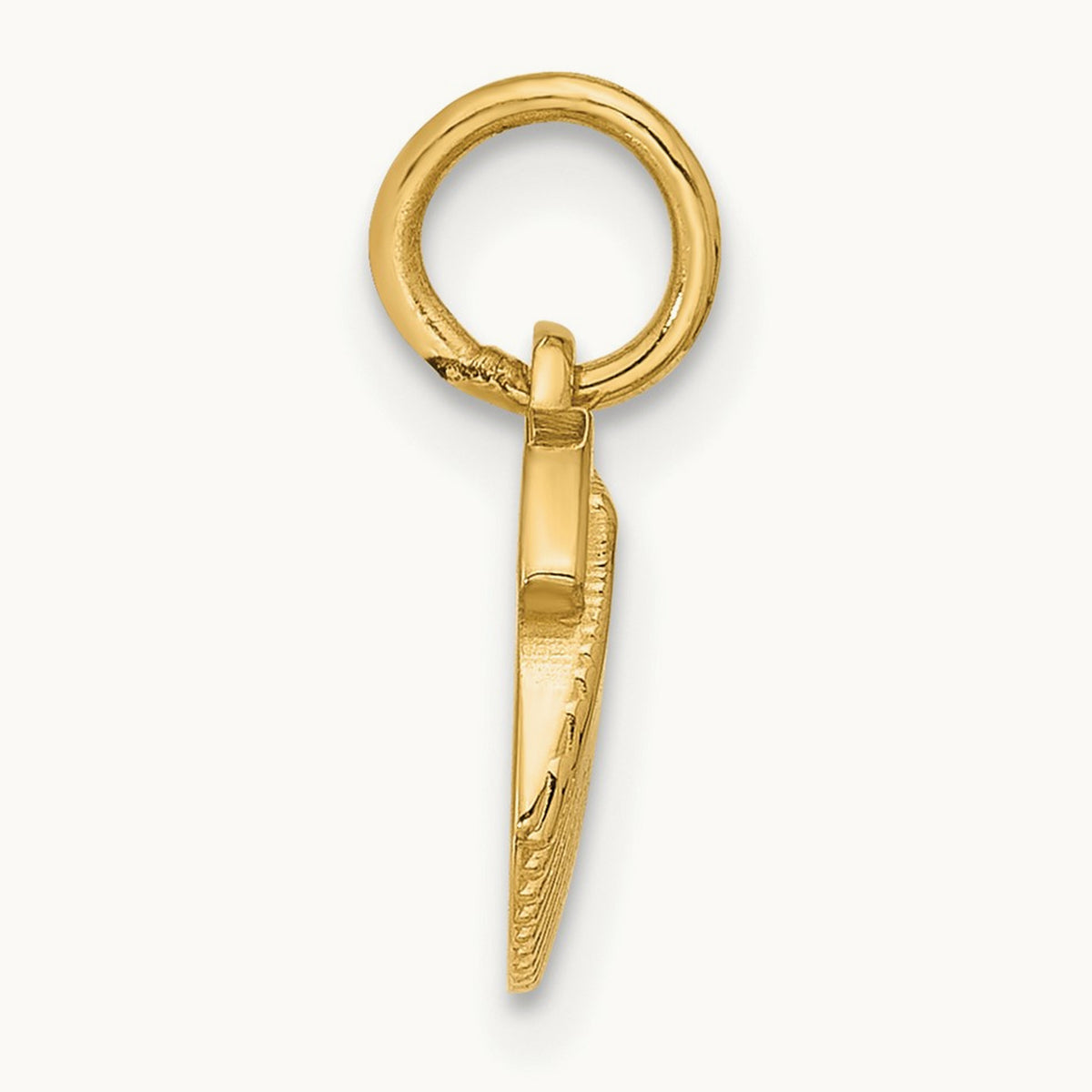 Polished Textured Seashell Pendant, 14K