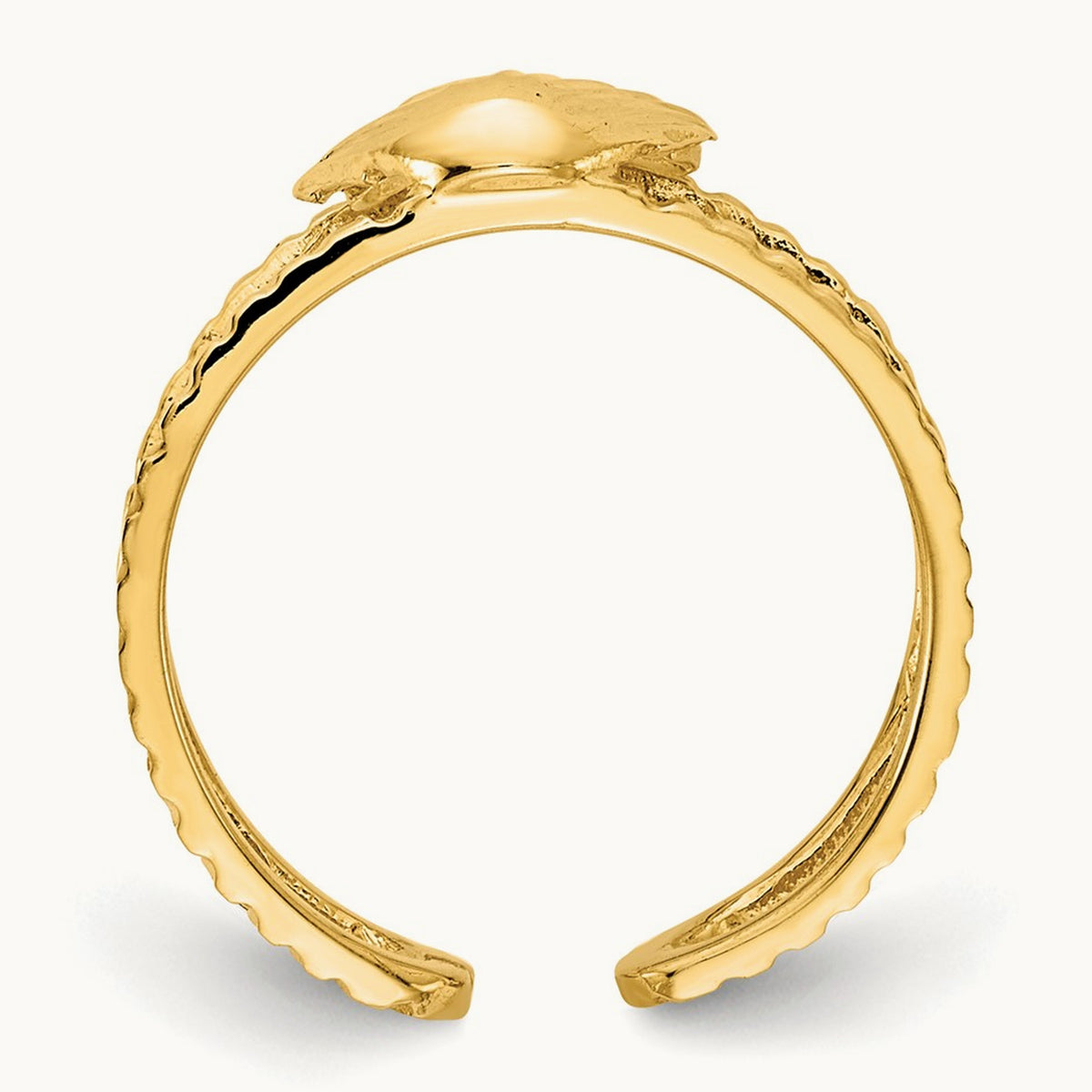 Sea Shell Toe Ring, 14K
