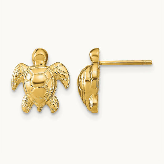 Turtle Post Earrings — photo set