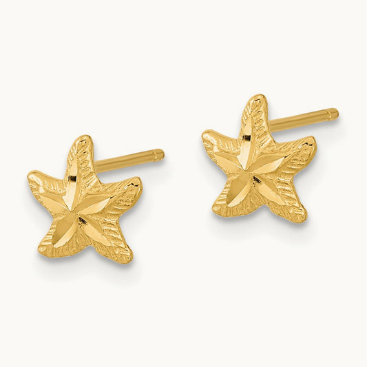 Polished Diamond-cut Starfish Post Earrings, 14K