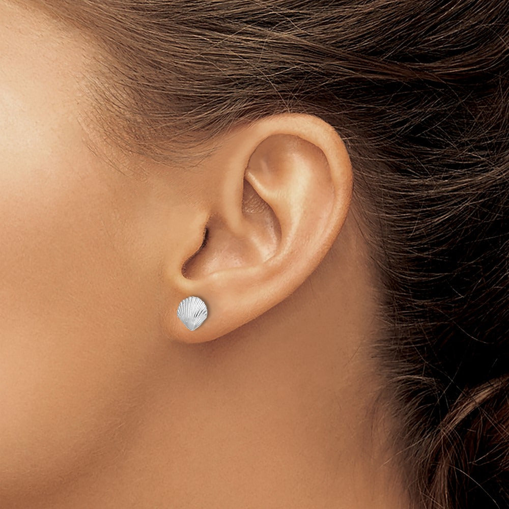 Scallop Shell Post Earrings — 14K White Gold, 7.8mm