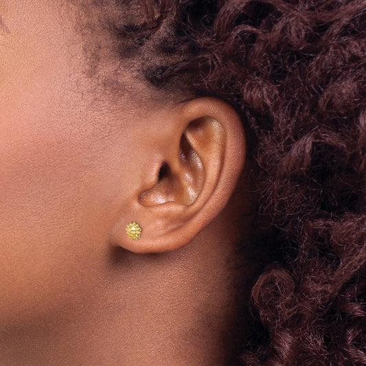 Polished Hammered Hoop Earrings — photo set