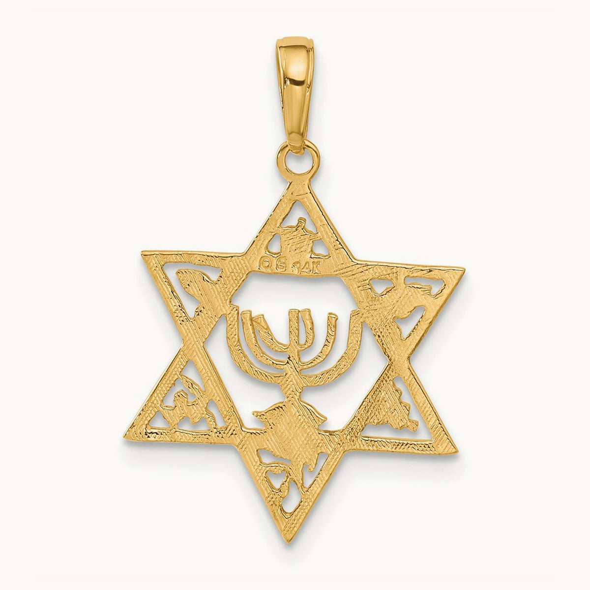 Star of David w/Menorah Pendant, 14K