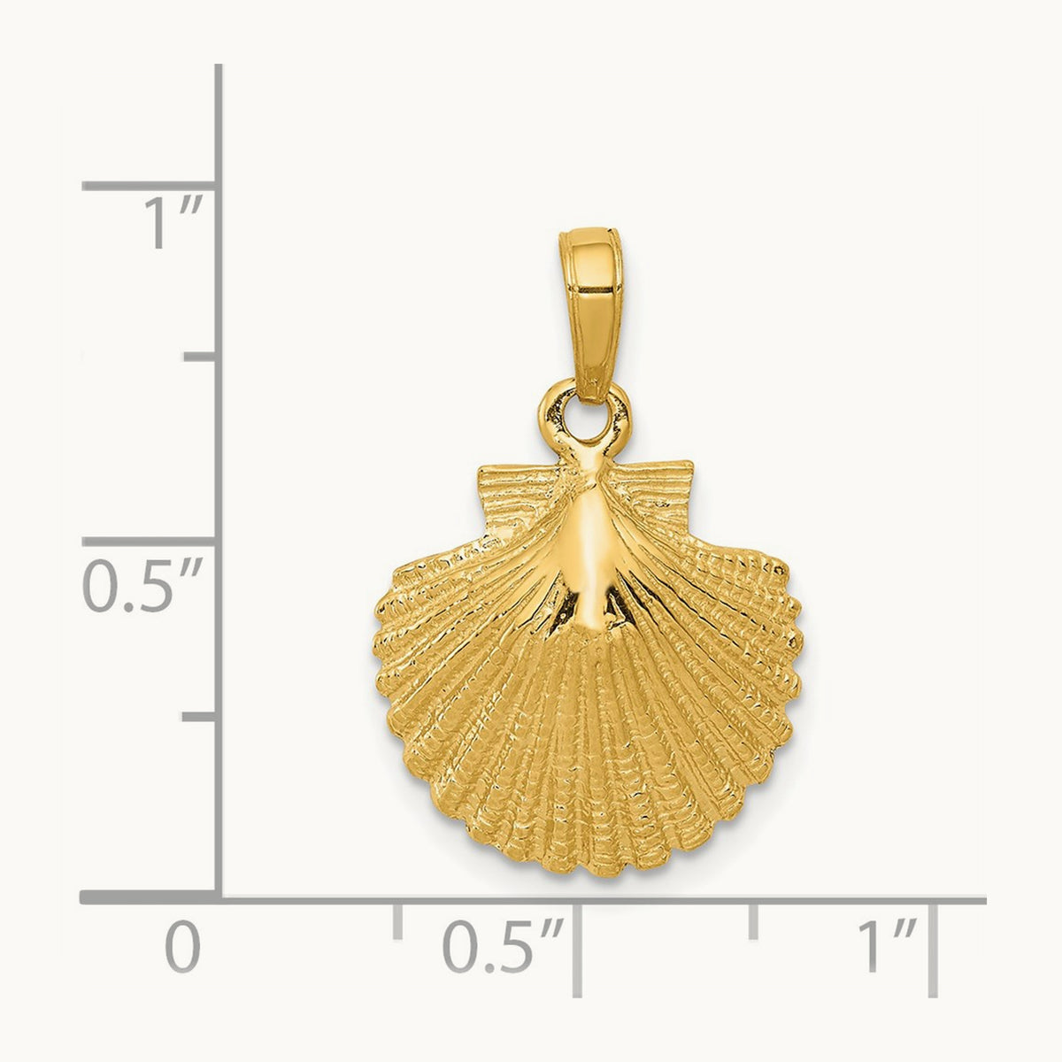 Scallop Shell Pendant, 14K