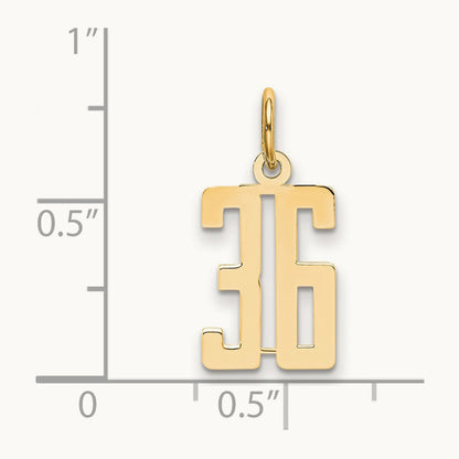 Small Elongated Number 36 Charm, 14K