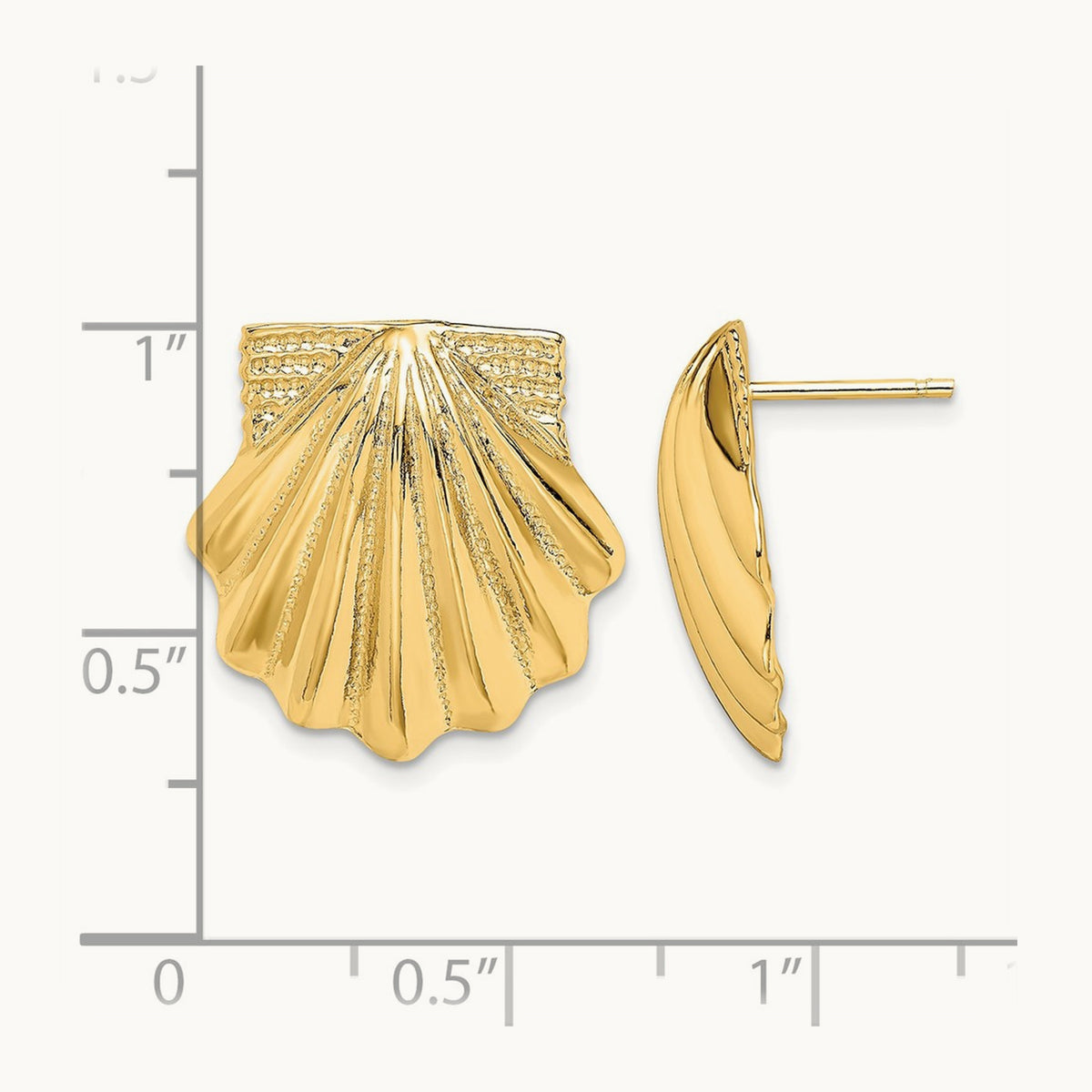 Scallop Shell Earrings, 14K