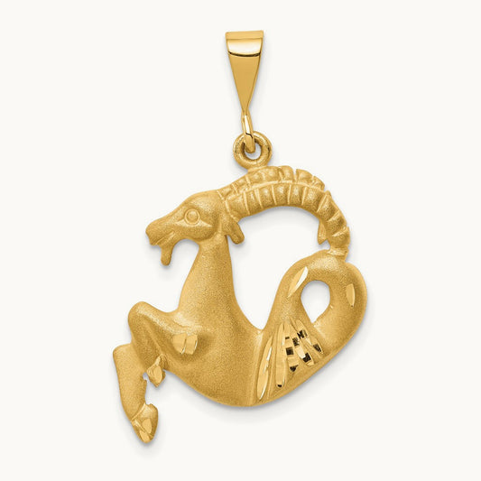 Satin Diamond-cut Capricorn Zodiac Charm — photo set