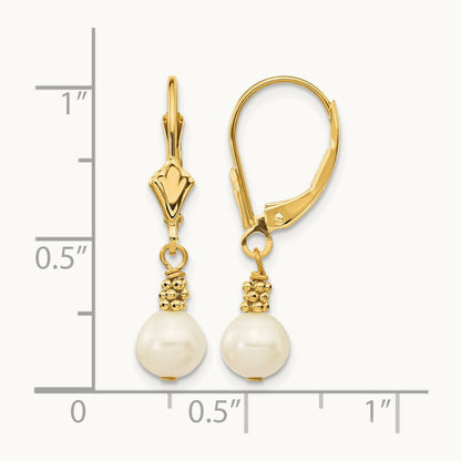 5- White Semi-round Freshwater Cultured Pearl Leverback Earrings, 6mm, 14K