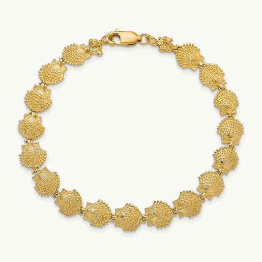 Scallop Shell Bracelet, 14K