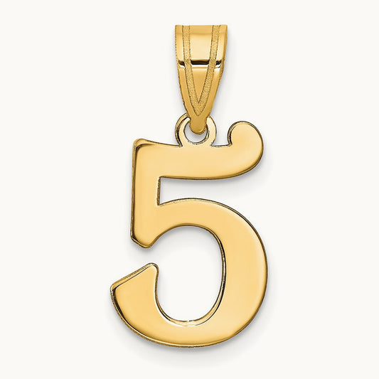 Polished Number 5 Pendant — photo set