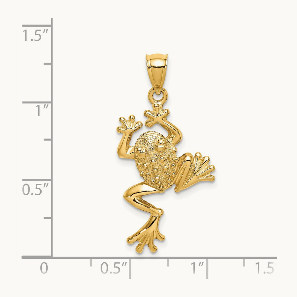 Frog w/ Textured Back Charm, 14K