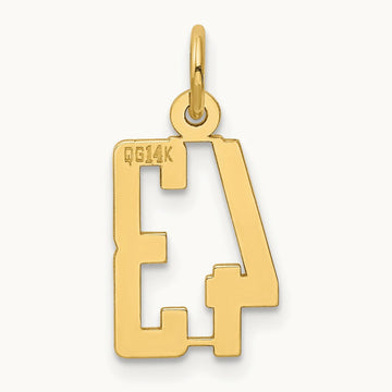Small Elongated Number 43 Charm, 14K
