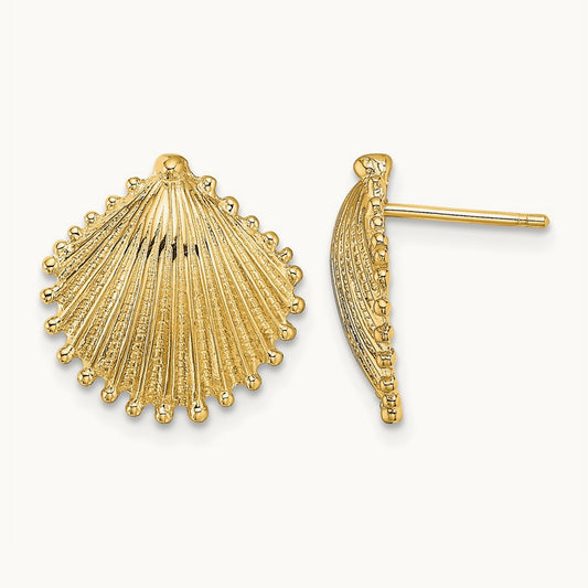 Scallop Shell Post Earrings, 14K