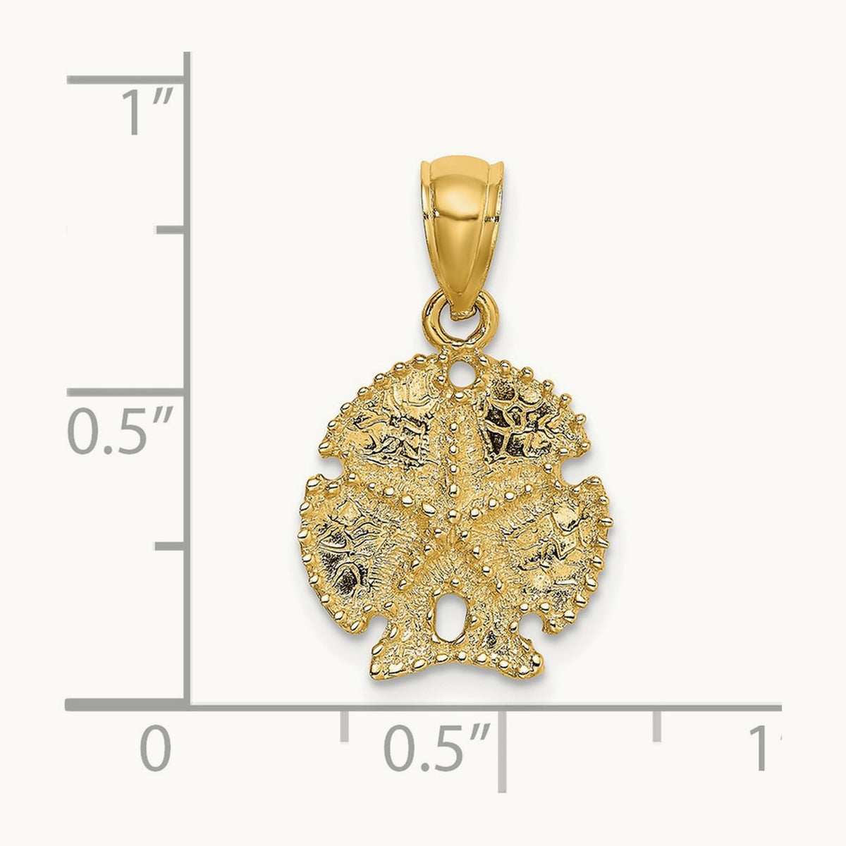 Starfish on Sand Dollar Charm — photo set