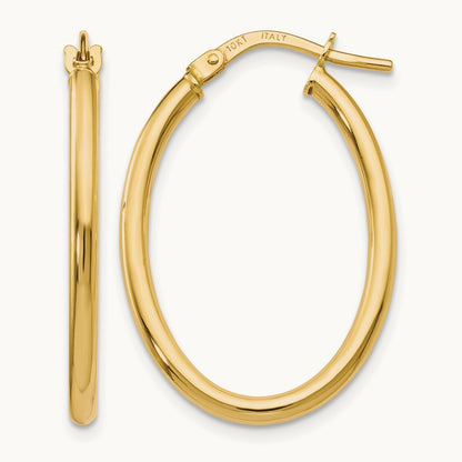 Polished Oval Hinged Hoop Earrings — Leslie's — photo set