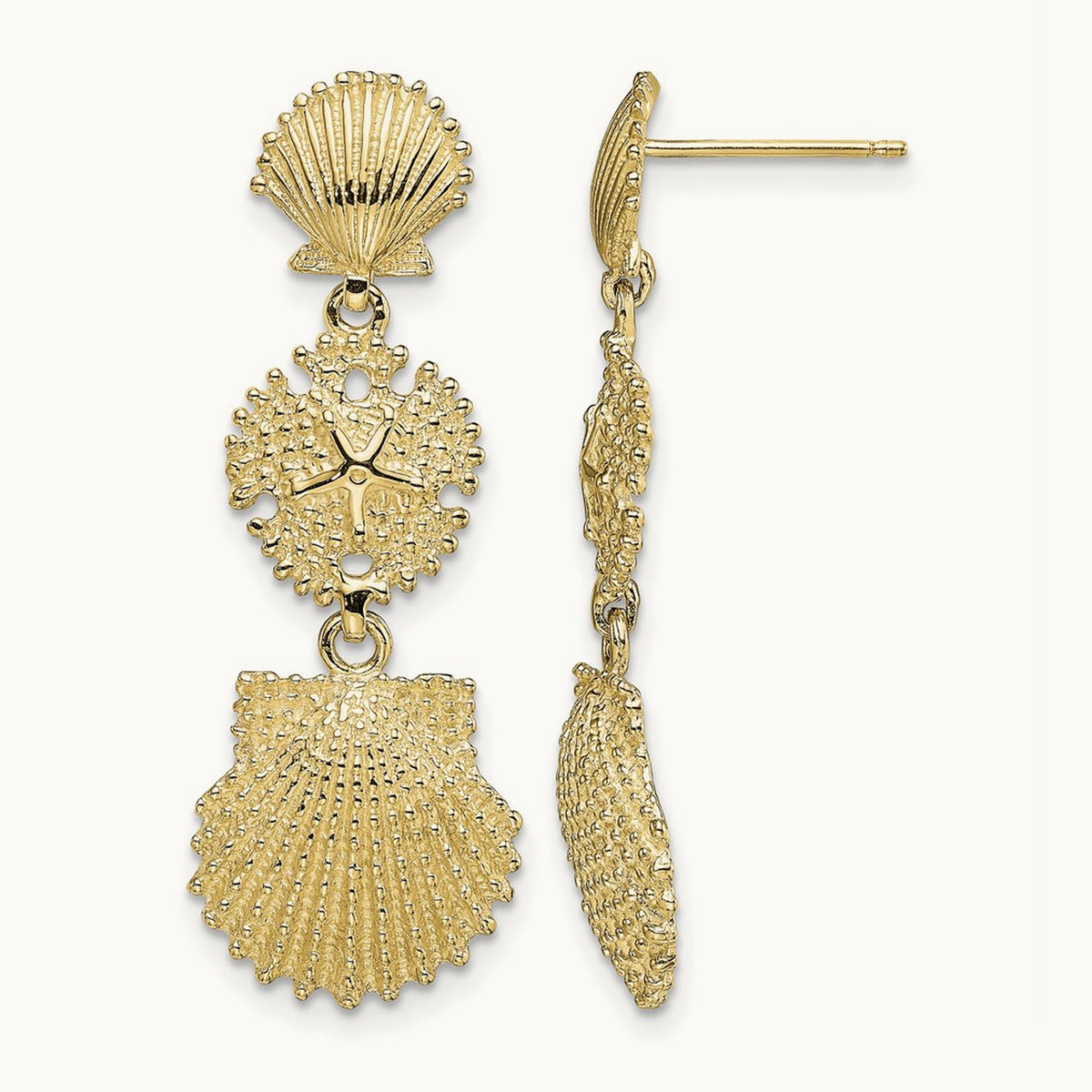 Scallop, Sand Dollar,,Scallop Dangle Earrings, 14K