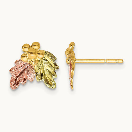 Black Hills Gold Post Earrings