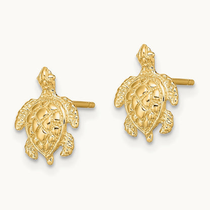 2-D Textured Sea Turtle Post Earrings, 14K