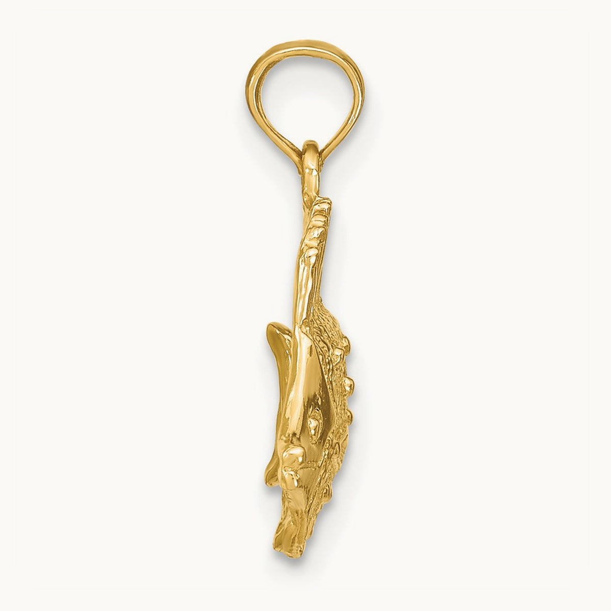 Polished Engraved Fish Charm — photo set