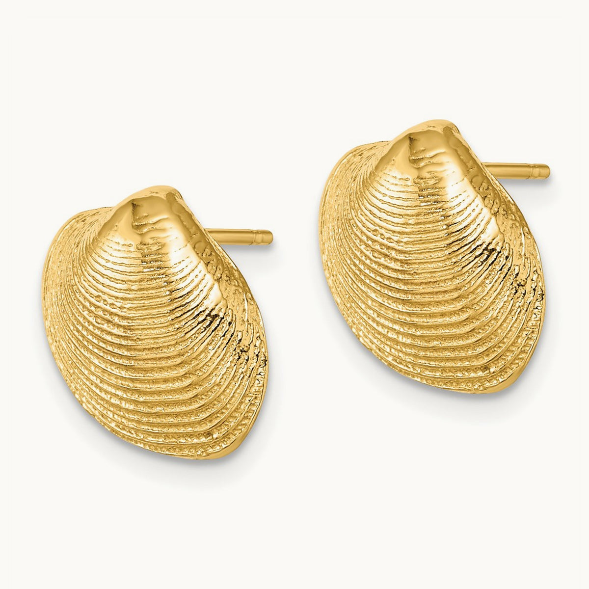 Clam Shell Post Earrings — 14K Yellow Gold, 12.65mm
