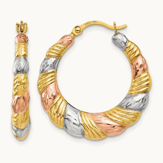 & and Hollow Scalloped Hoop Earrings — photo set