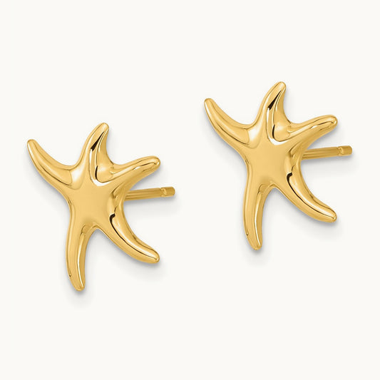 Polished Starfish Post Earrings, 14K