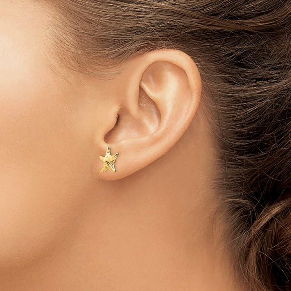 Starfish Post Earrings — 11mm