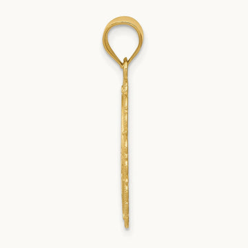 Solid Satin Polished Pisces Zodiac Oval Pendant, 14K
