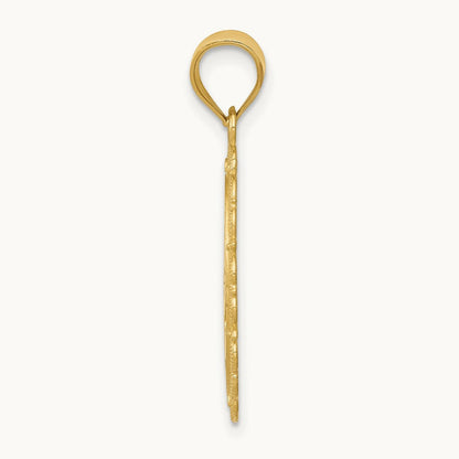 Solid Satin Polished Pisces Zodiac Oval Pendant, 14K