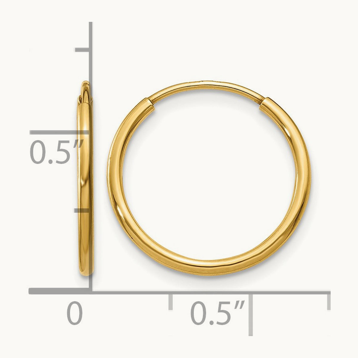 Endless Hoop Earring, 14K — Leslie's
