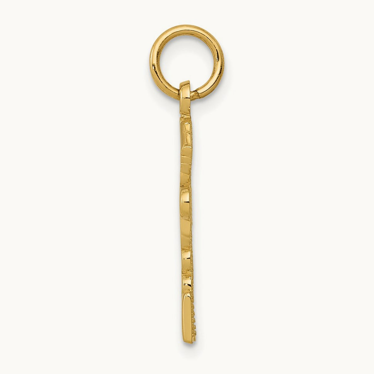 Registered Nurse Practitioner Charm, 14K