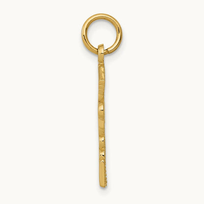 Registered Nurse Practitioner Charm, 14K