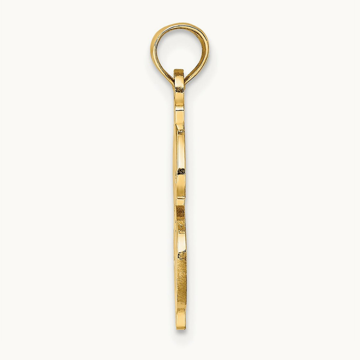 Textured Dollar Sign Charm, 14K