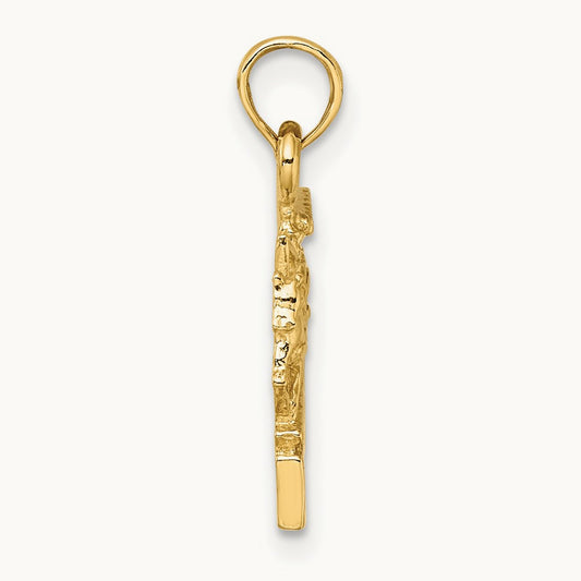 CHARLESTON Horse and Cart Charm — photo set