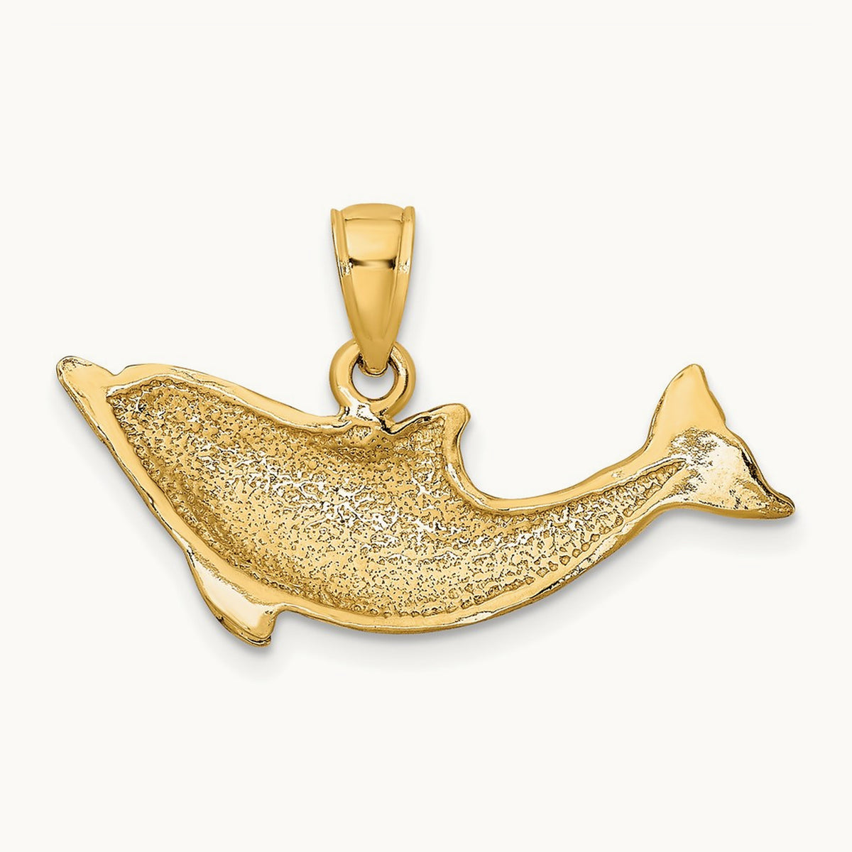 Polished Dolphin Charm — photo set