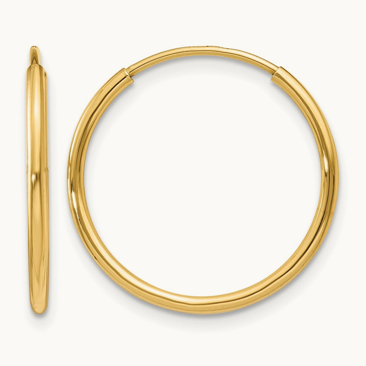Endless Hoop Earring, 14K — Leslie's