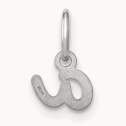 Lower case Initial Charm