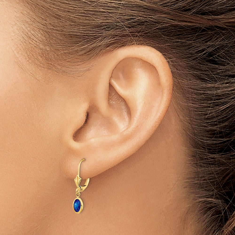 6x4 Oval Bezel September/Sapphire Leverback Earrings — 14K Yellow Gold