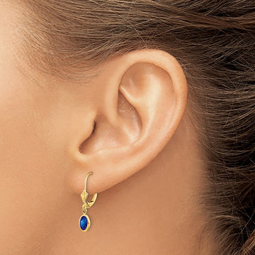 6x4 Oval Bezel September/Sapphire Leverback Earrings — 14K Yellow Gold