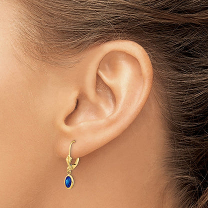 6x4 Oval Bezel September/Sapphire Leverback Earrings — 14K Yellow Gold