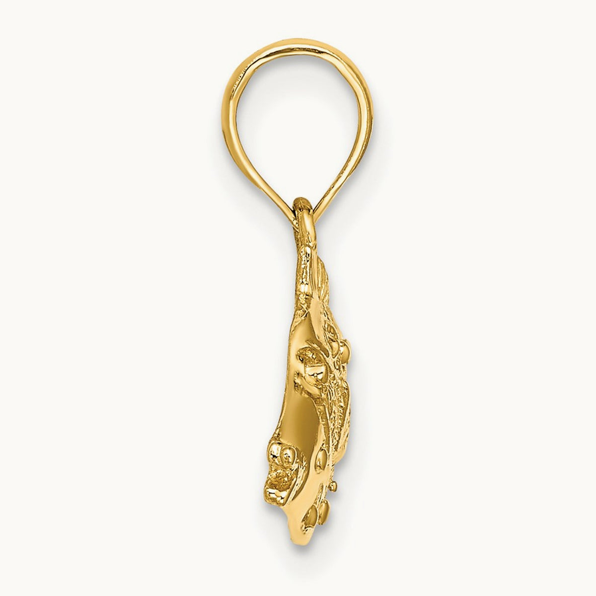 2-D Polished Engraved Fish Charm — photo set