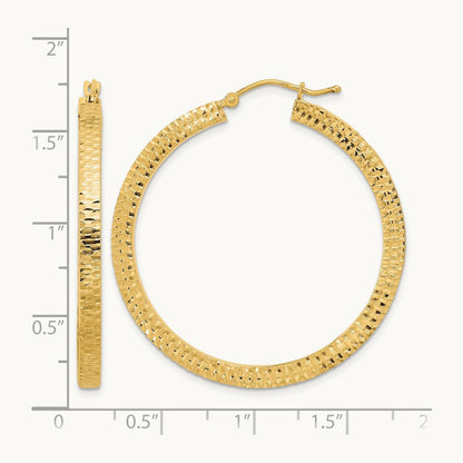 Polished & Hammered Hoop Earrings — photo set