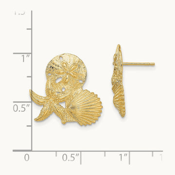 Sand Dollar, Starfish, ,Scallop Cluster Post Earrings, 14K