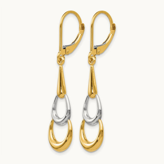 Polished Leverback Earrings — Leslie's — photo set