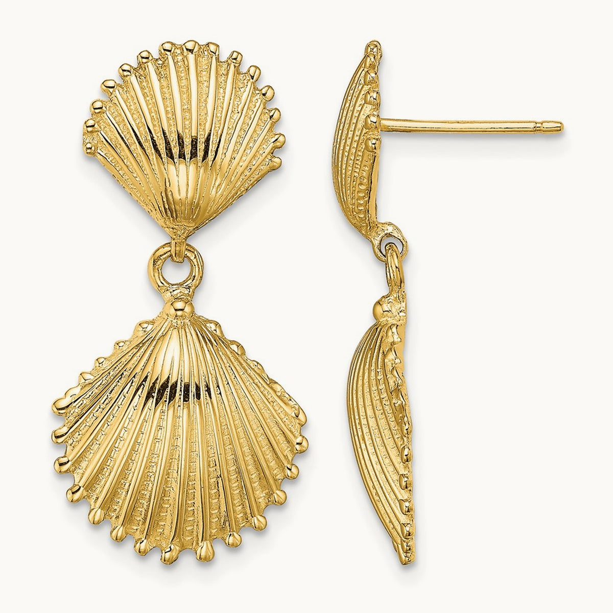Polished Scallop Shell Dangle Earrings — 29.3mm