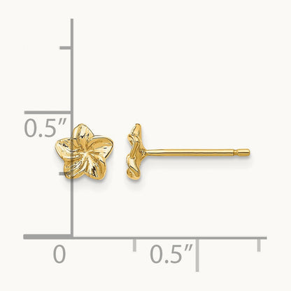 Plumeria Flower Post Earrings — 14K Yellow Gold, 5mm