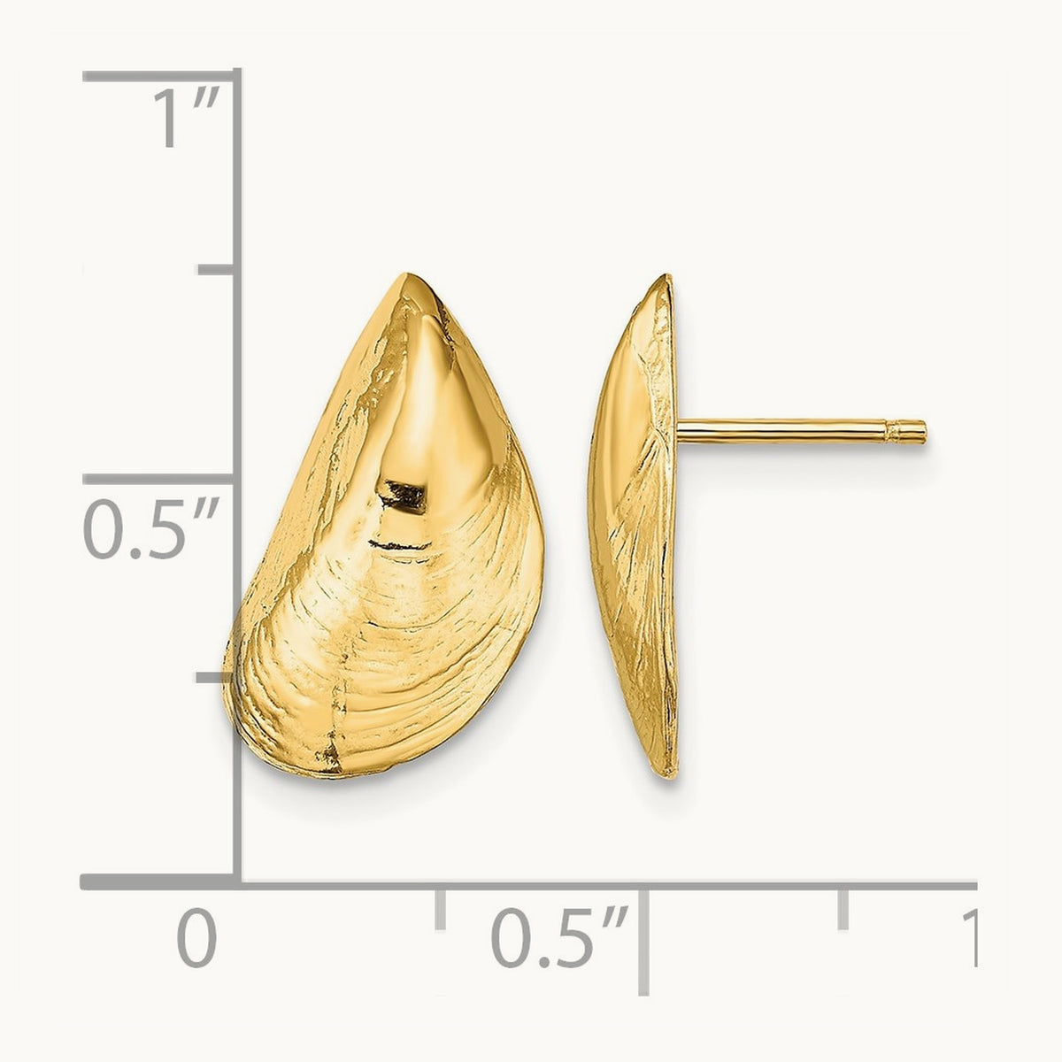 Mussel Shell Post Earrings, 14K