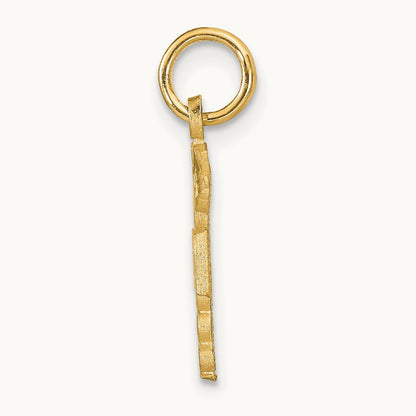 RN Nurse Charm, 14K
