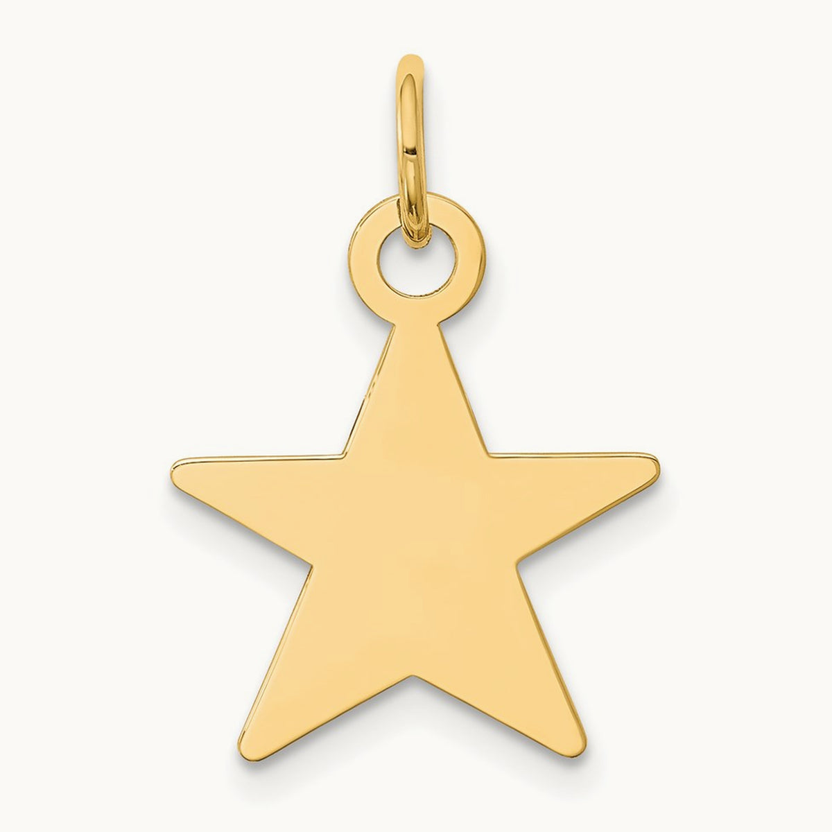 Star Disc Charm, 14K